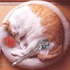 苓